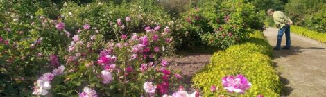 „Labas“–Juli 2025