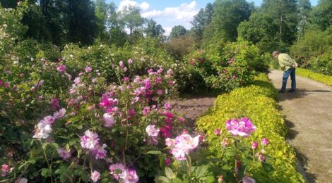 „Labas“–Juli 2025