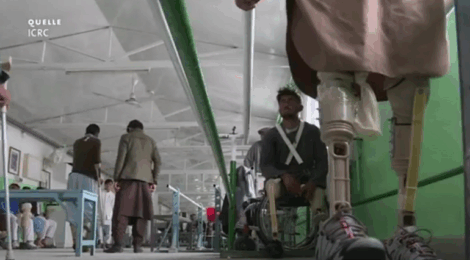 Ja zur Verstümmelung?